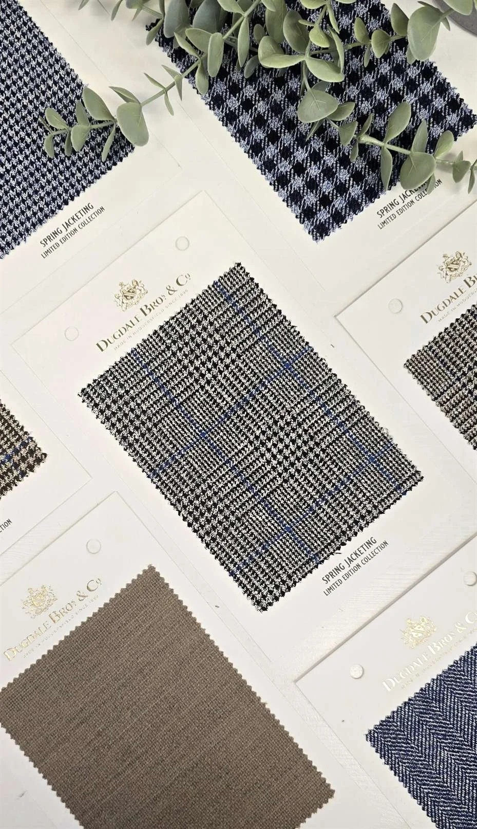 NEW CLOTH SS25 - Dugdale Bros Spring Jacketings, Summer Cascade